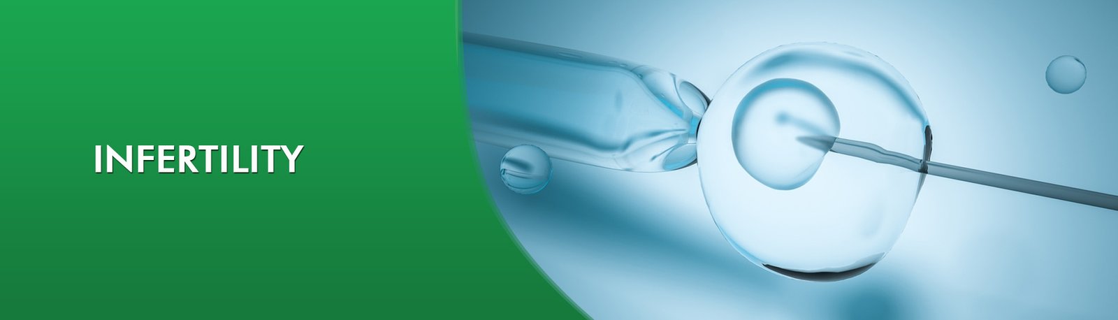 Ayurvedic treatment for Infertility in Chennai